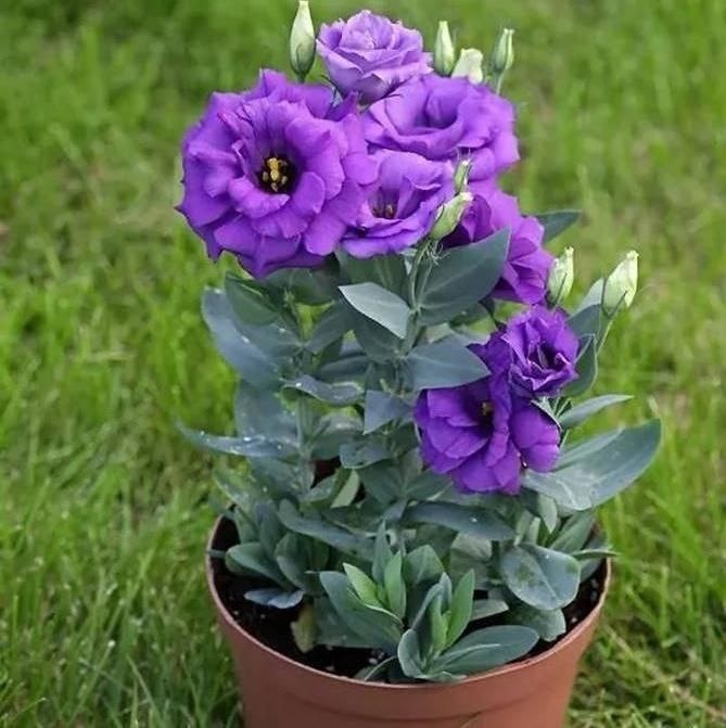 Фото из интернета. 