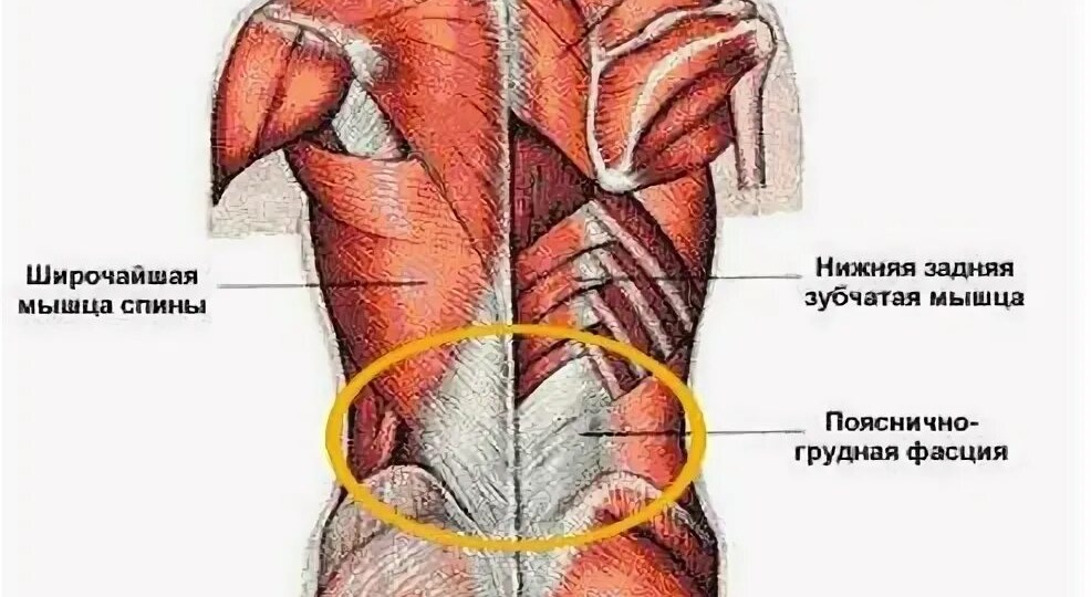 Начало жизни , путь и старость...