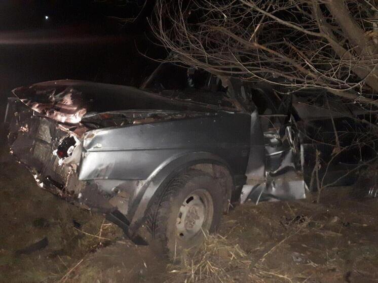     Фото: ГУ МЧС России по Воронежской области