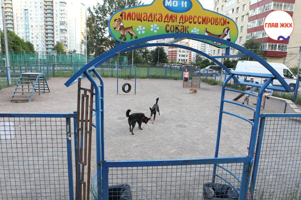 Общие требования к площадкам для выгула собак
