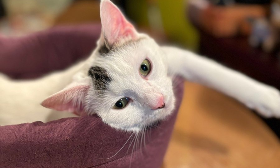 Дети так быстро растут