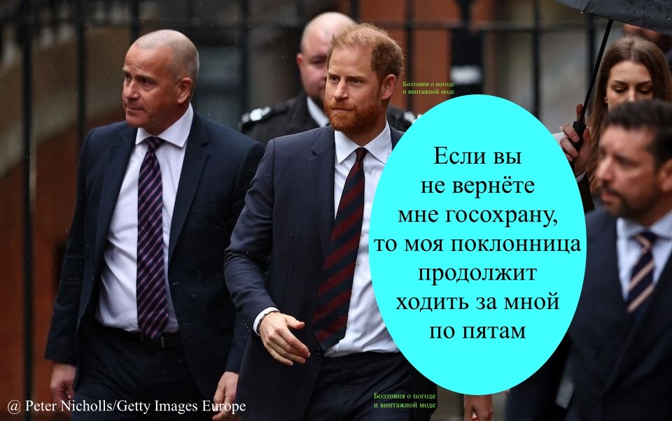 Поклонники герцога Сассекского убеждены в том, что принцу необходима госохрана