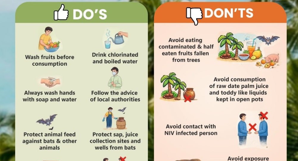 Новый ковид. Вирус Нипах в Индии: почему врачи бьют тревогу и чем это грозит миру