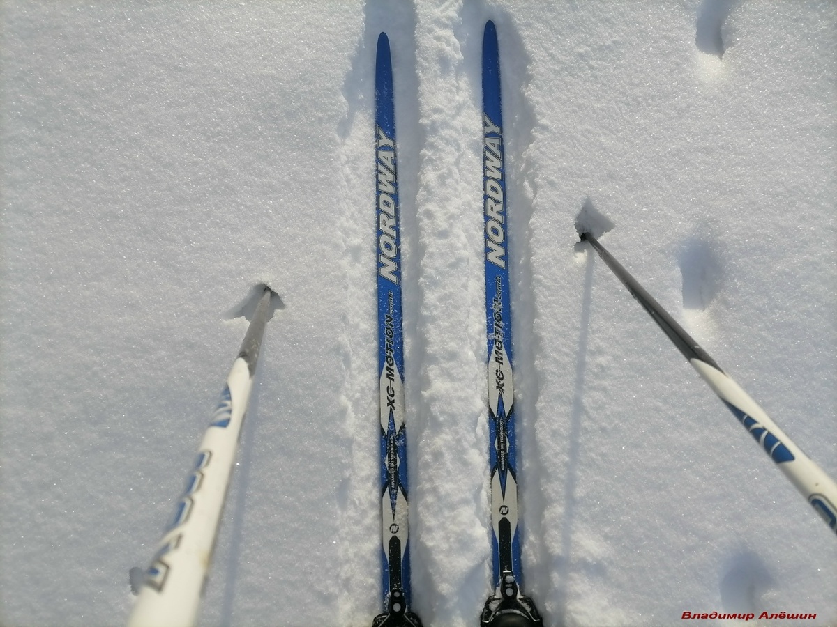 На подъезде к реке Суре. Фото автора