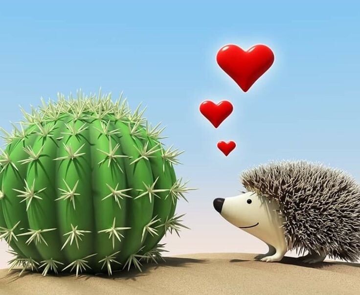 Картинка из Сети