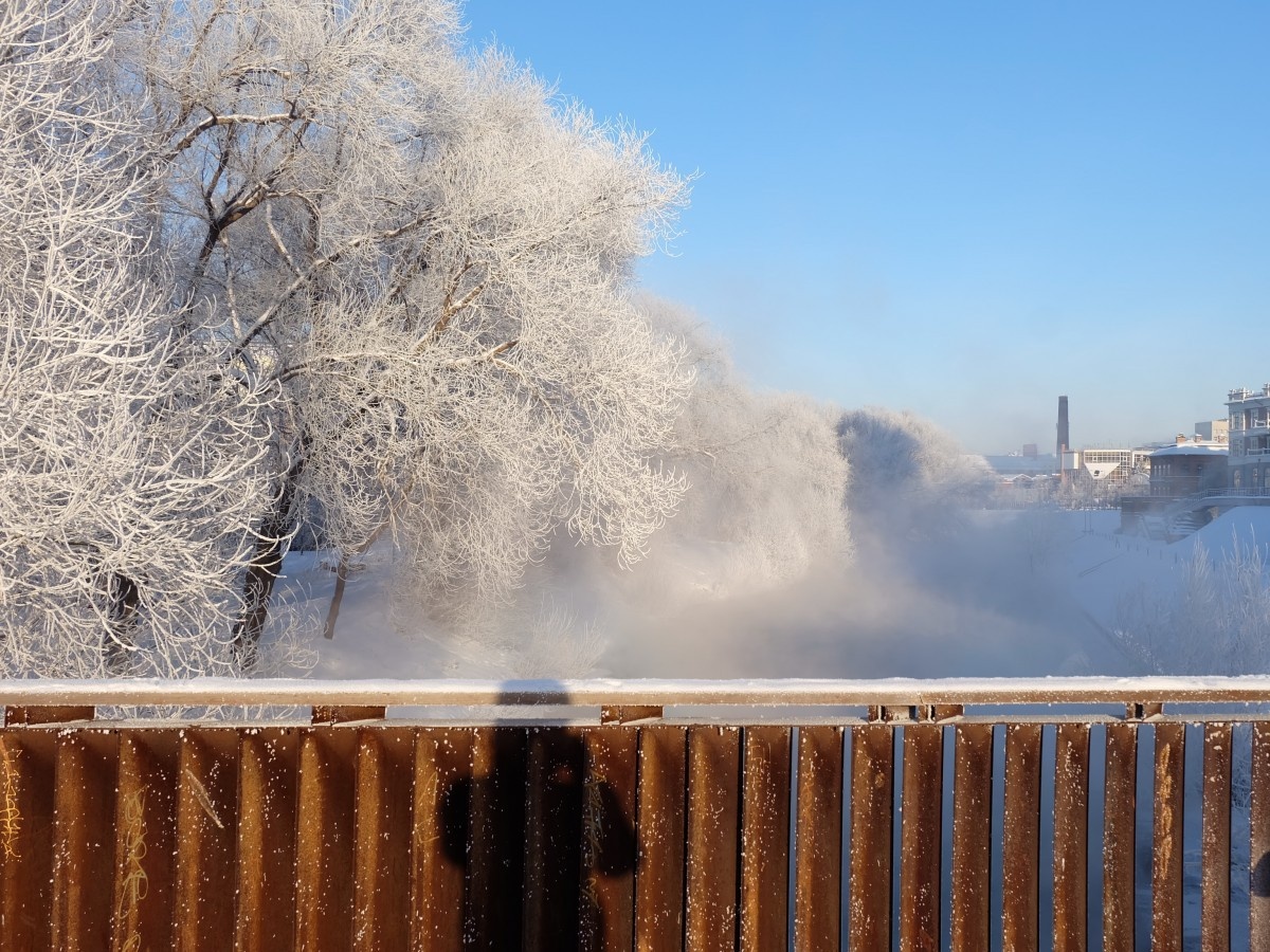     Фото: Владислав Постников / Вечерние ведомости