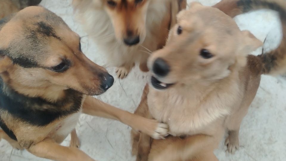 Удвоение!! Не оставайтесь в стороне пожалуйста 🙏