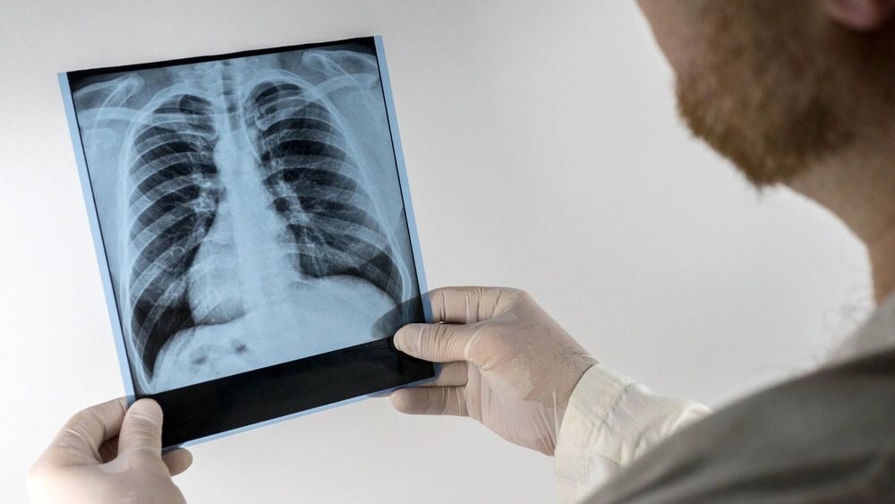    Фото: Video_Stock _Production/Shutterstock/Fotodom