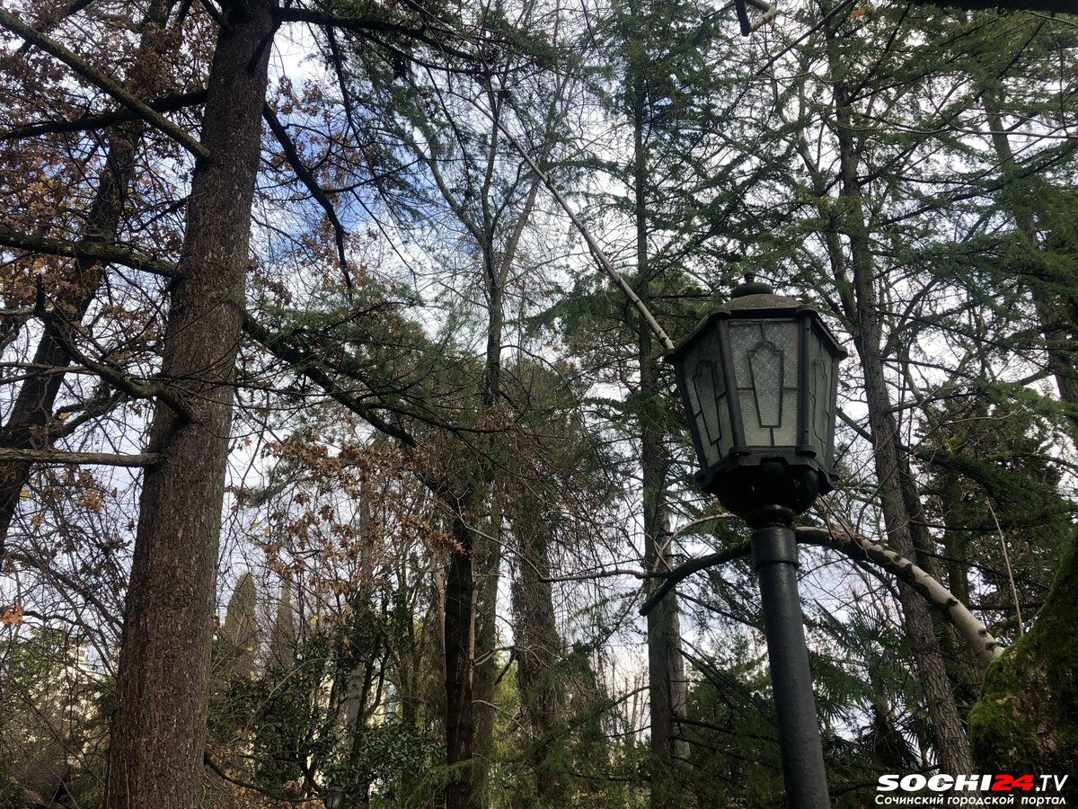    Фото: Сочи24 (Лидия Виленская)