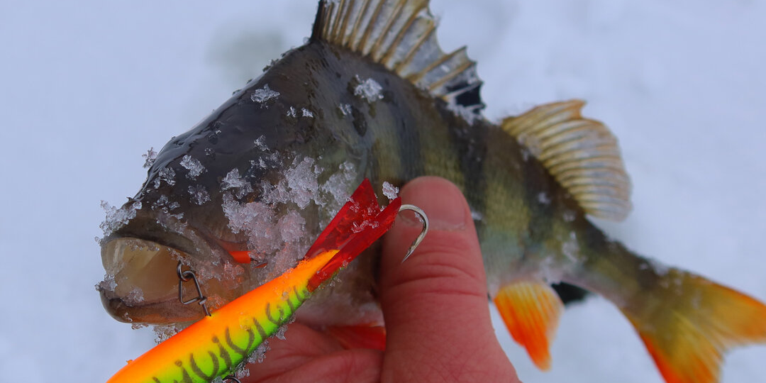 Как выбрать расцветку балансира