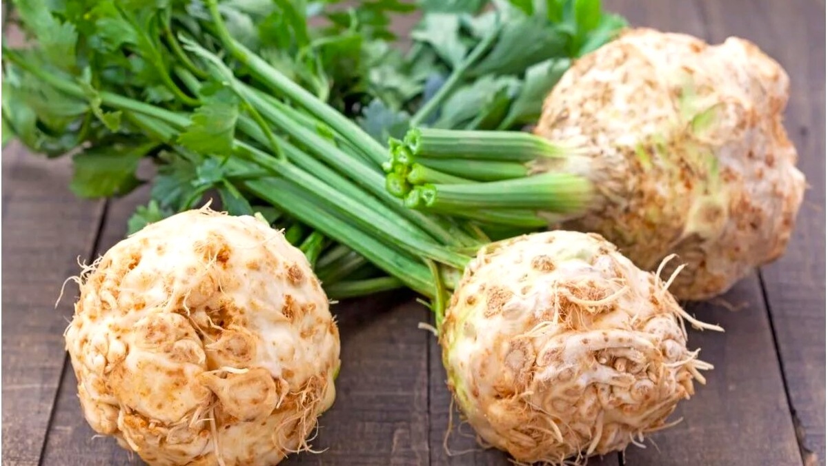 корневой сельдерей