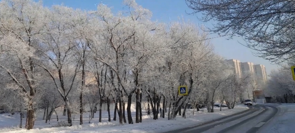 Фото автора.  Бегу на работу