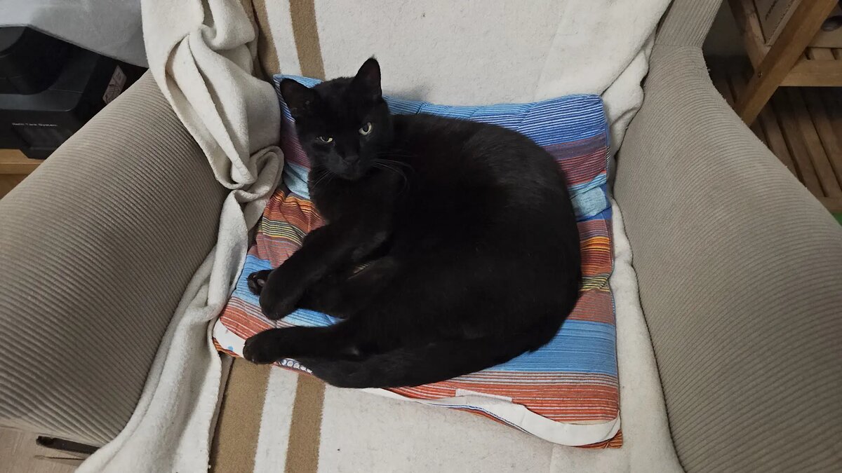 Это мой Тимофей, явно мне не верит