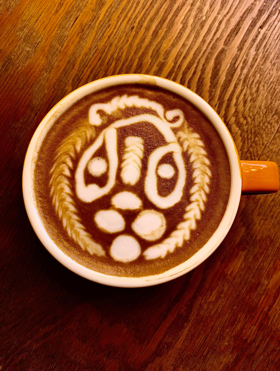 А у вас есть львы дома? 