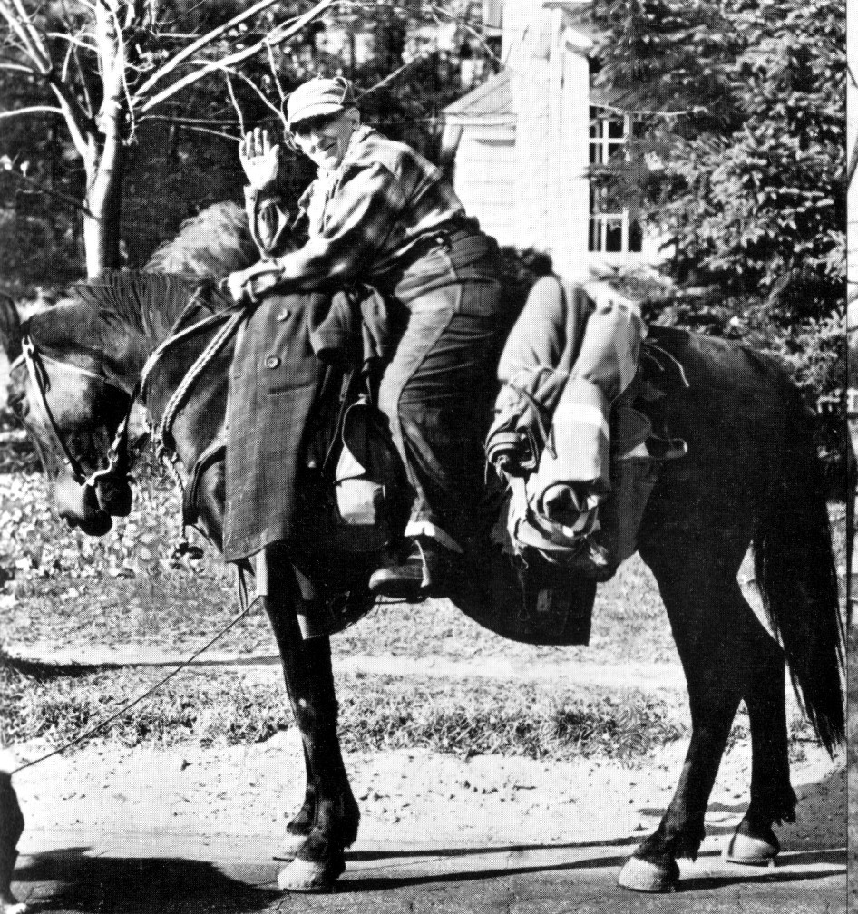 Энн, Тарзан и багаж