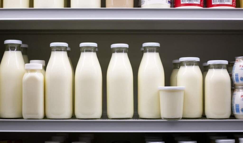    Сгенерировано нейросетью Алиса Екатерина Молчанова