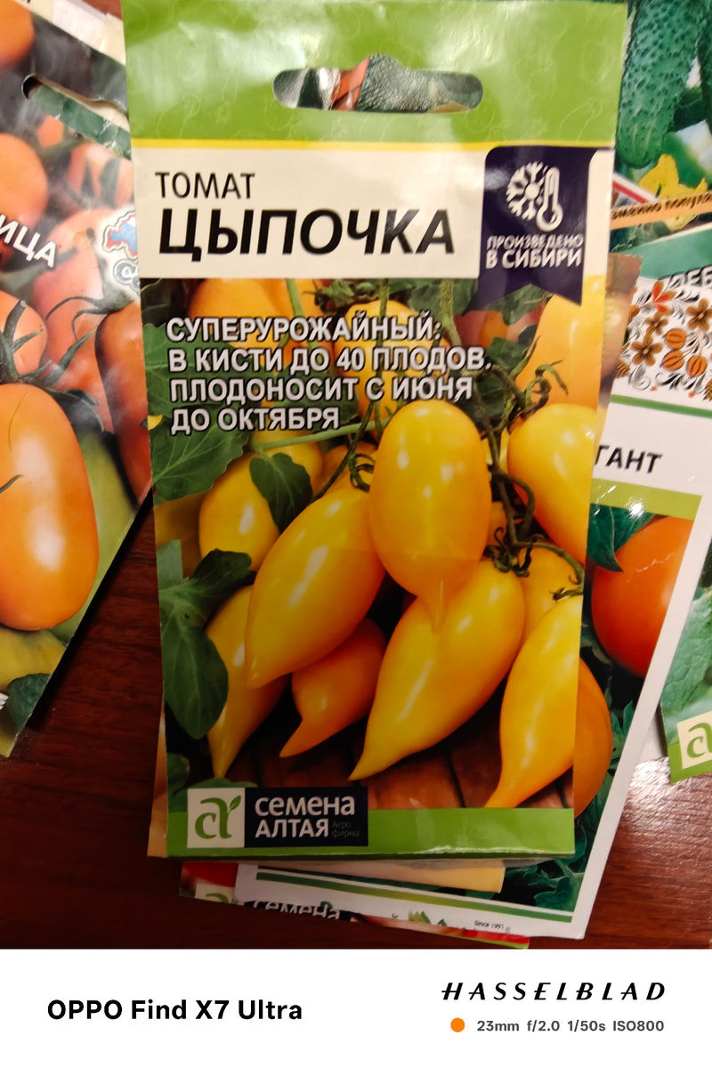 Фото автора, реальное мое фото.