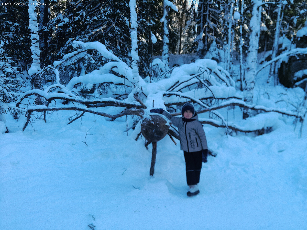 5-летний путешественник с деревом-пауком