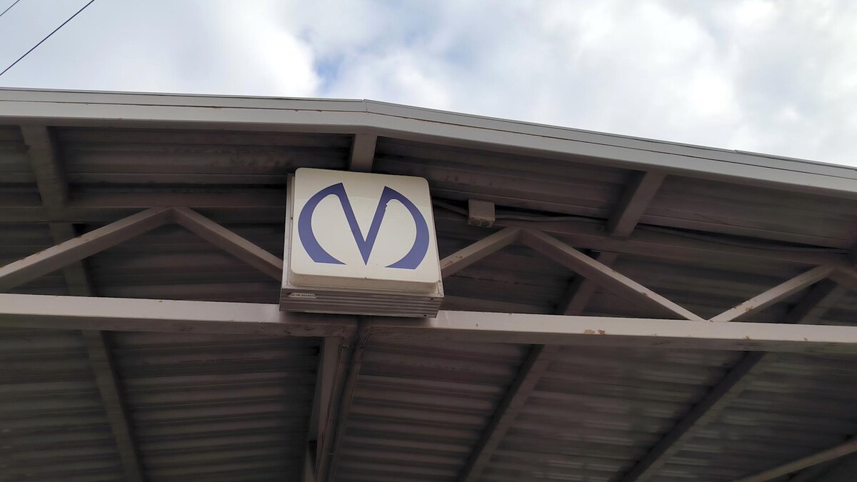    Фото: Maksim Konstantinov/globallookpress.com