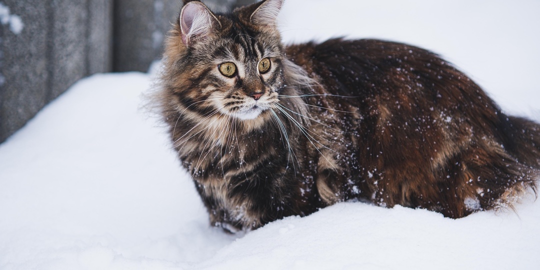 Её новая работа