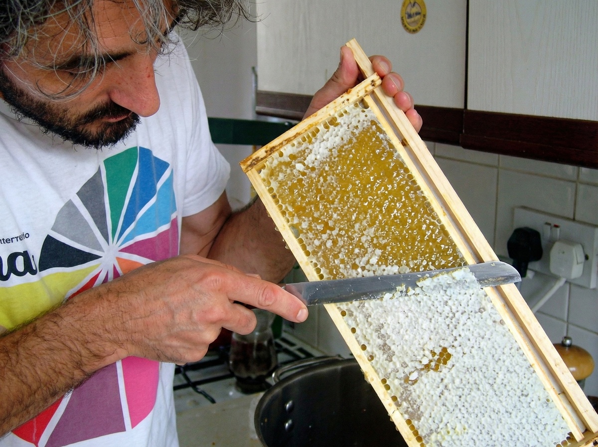 Кубинский пчеловод