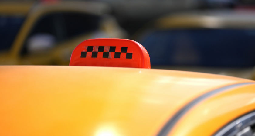    Фото: ИЗВЕСТИЯ/Дмитрий Коротаев; 5-tv.ru