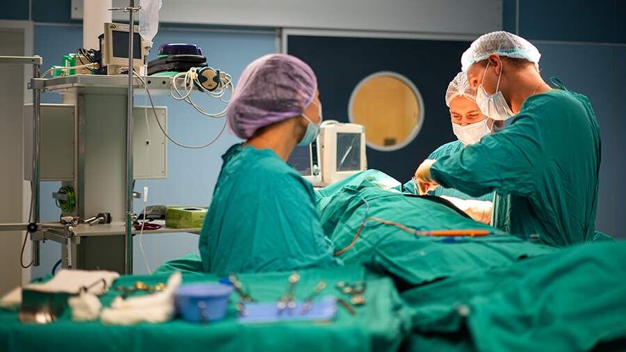    Фото: ИЗВЕСТИЯ/Сергей Лантюхов