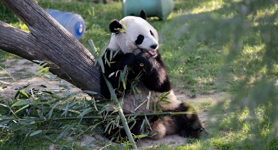    Liu Jie/XinHua / www.globallookpress.com