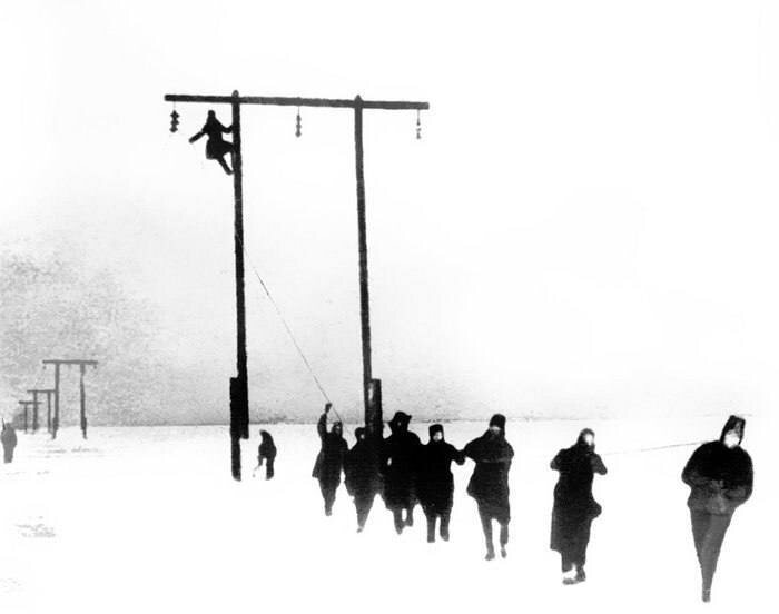     Фото: Официальный телеграм-канал вице-губернатора Сергея Кропачева.