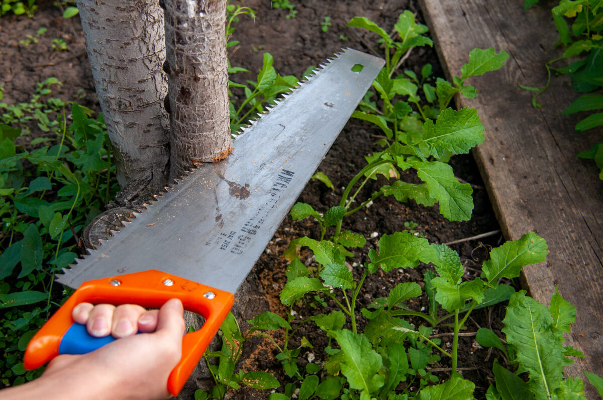 Нарушения на участке могут обернуться штрафами в десятки тысяч рублей.  Фото: Светлана Возмилова
