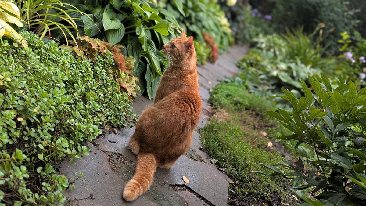 Кузенька как часть ландшафта )))