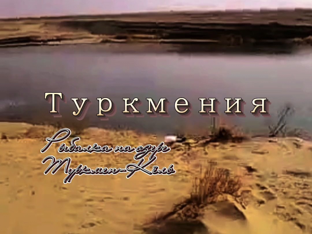 Вид водоёма.