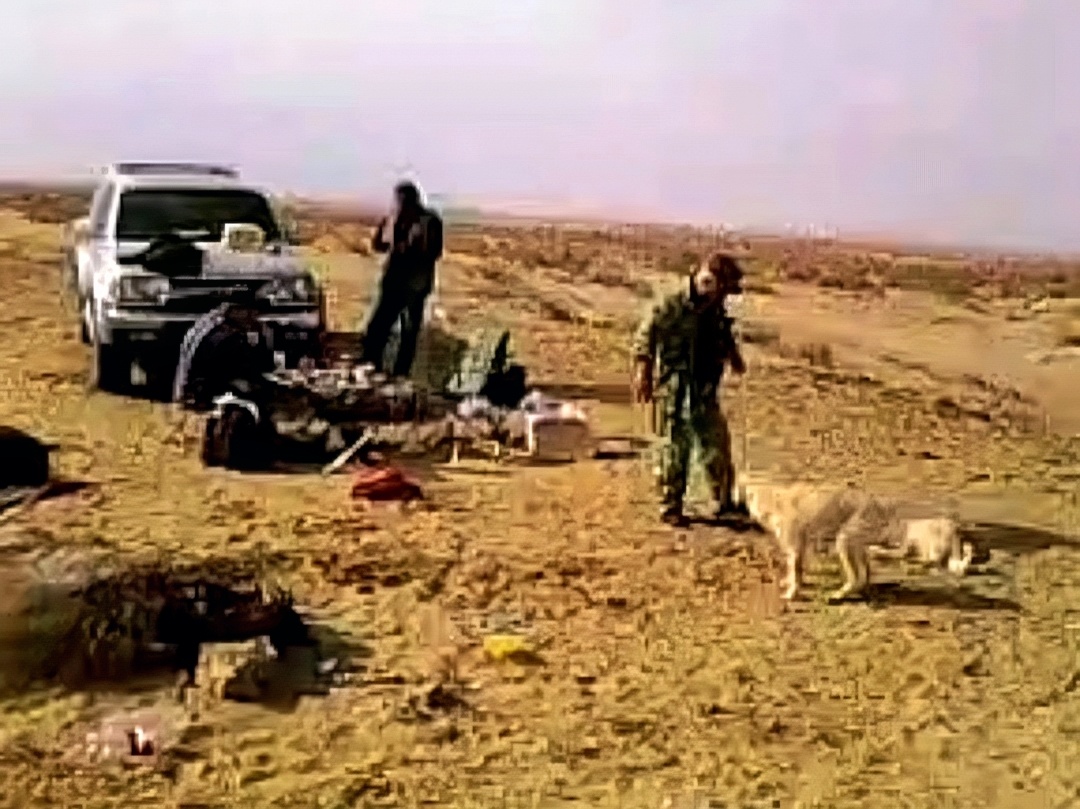 Гоняем собак от стола.