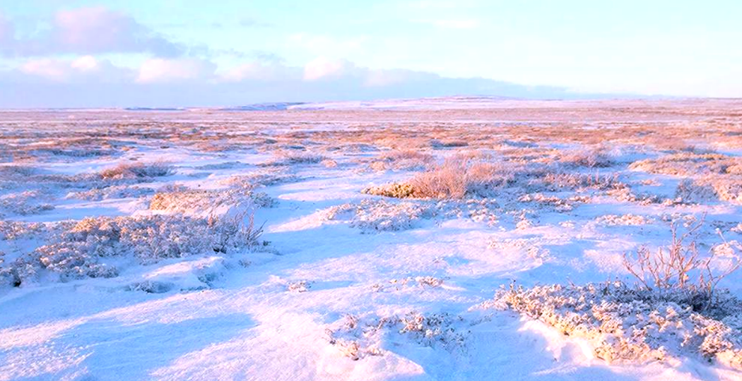 Большая часть России находится в зоне вечной мерзлоты