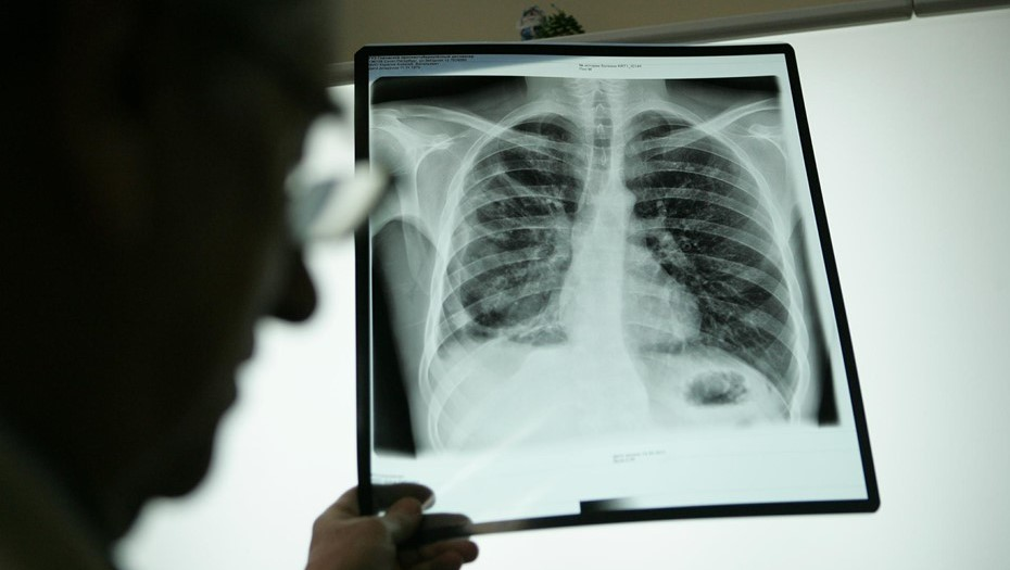 Автор фото: Trend / Сергей Коньков 