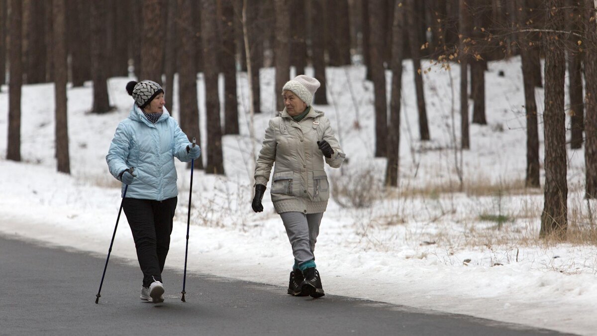    Фото: Nikolay Gyngazov/globallookpress.com
