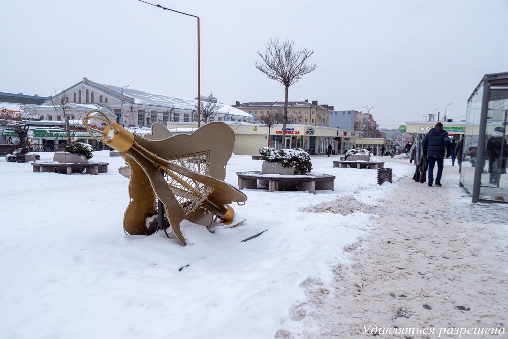 Из автобуса и на рынок