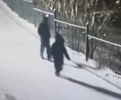 Фото: стор-кадр видео