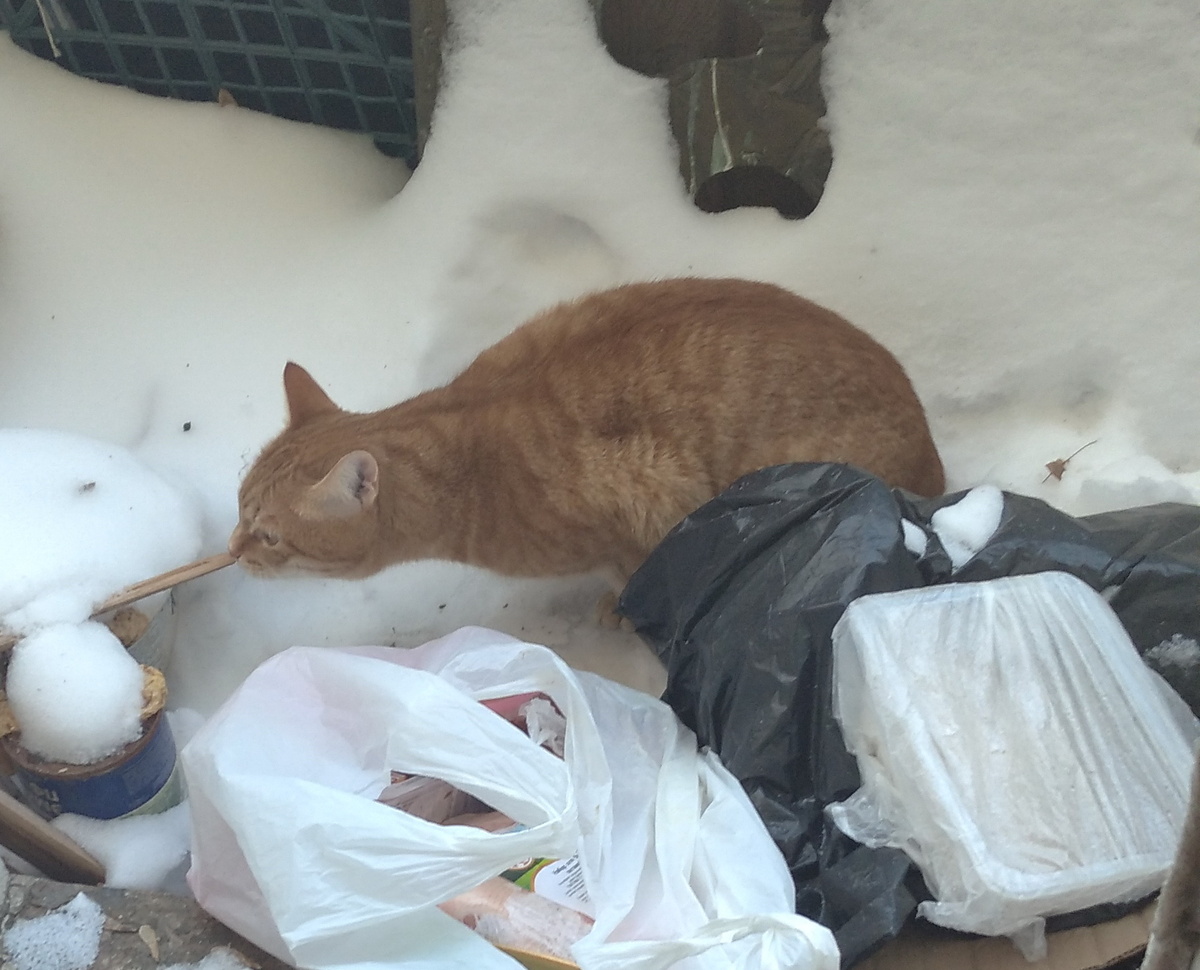 личное фото