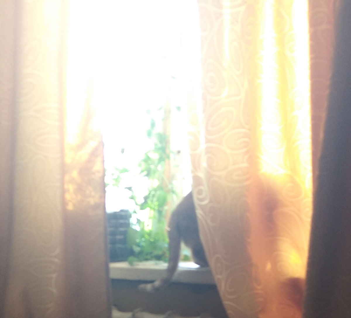 личное фото