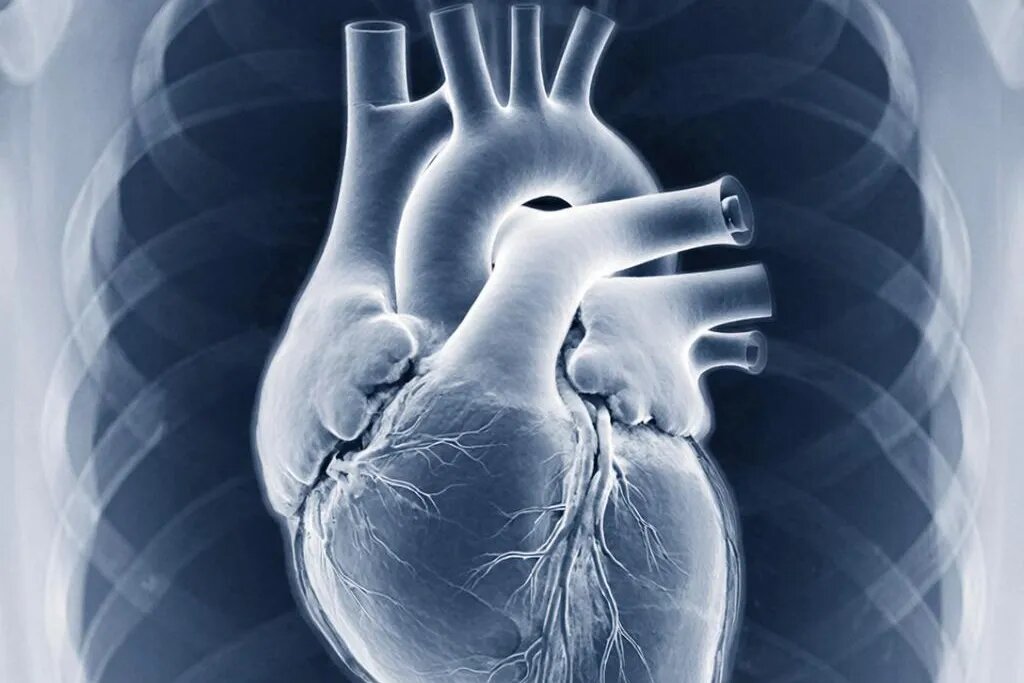    Источник изображения: ItRussia.Media