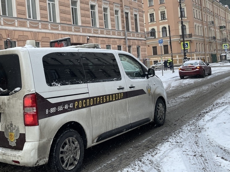    Все меры принимают для того, чтобы не допустить распространения инфекции. Фото из архива "МК в Питере"