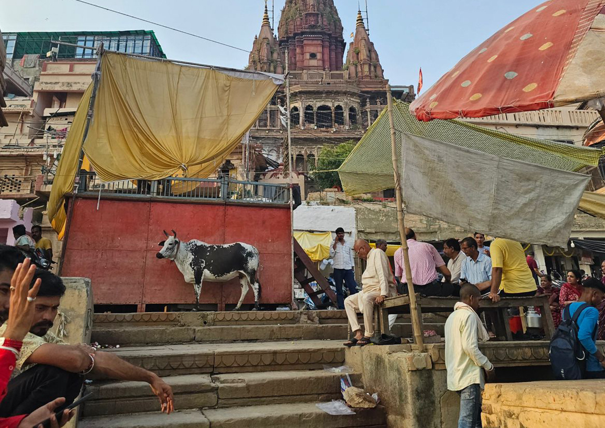 Фото © «Московская газета»