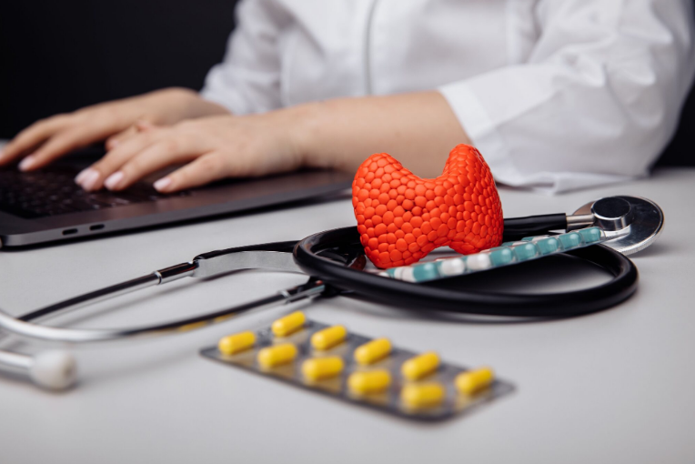 © photo credit by ru.freepik.com/Burdun