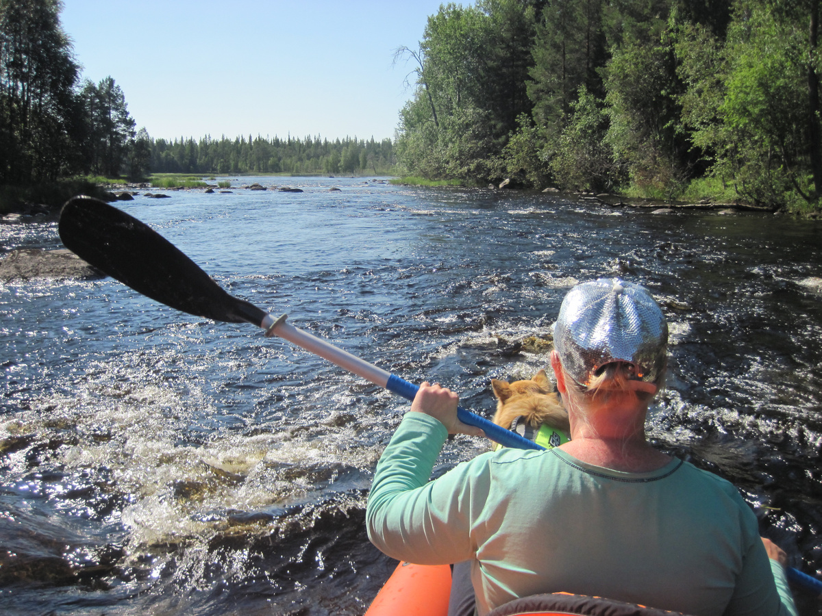 перекаты реки Воньга 