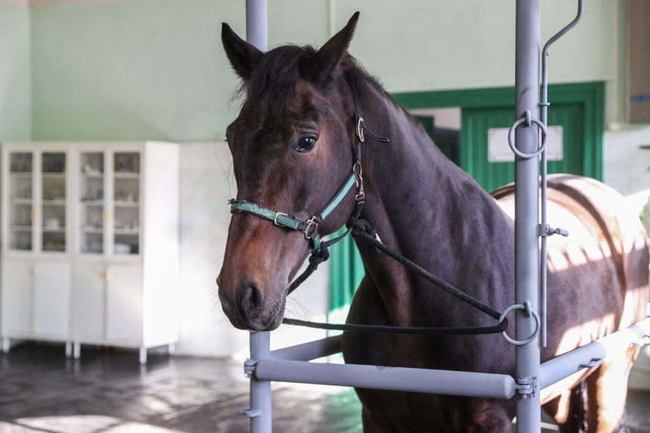    Сергей Булкин/NEWS.ru