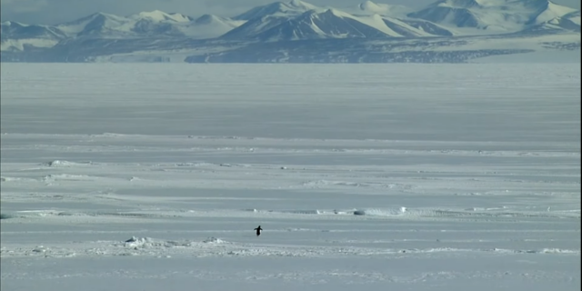   Кадр из фильма «Встреча на краю света»