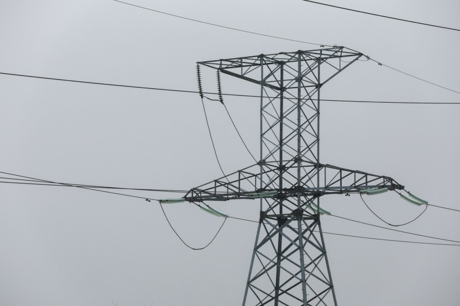    Алексей Белкин/NEWS.ru