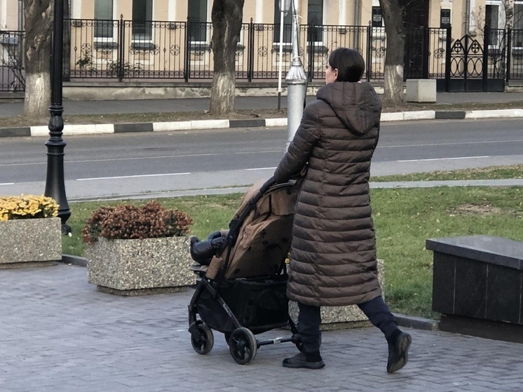     фото: мк в вологде