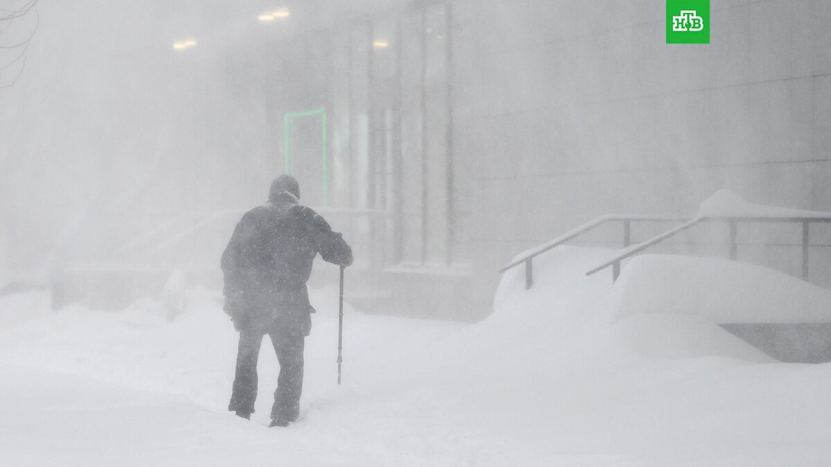    Фото: РИА Новости © 2026, Григорий Сысоев